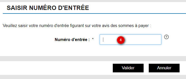 Paiement en ligne numéro d'entrée